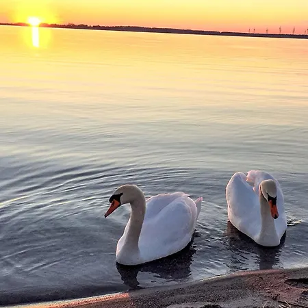 Moewennest By Interhome Semesterbostad