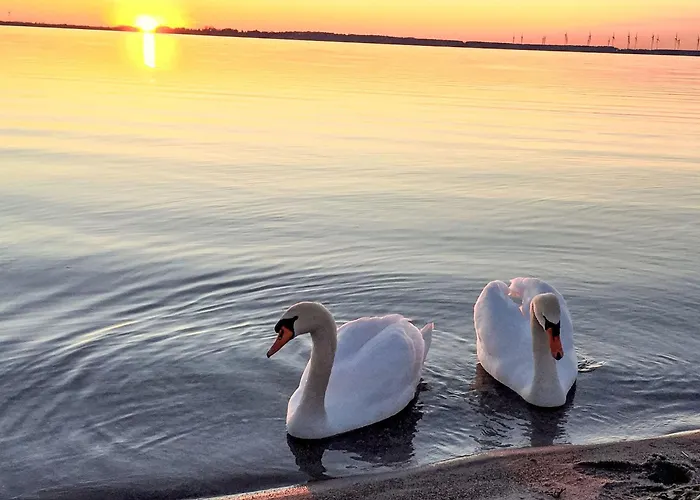 Moewennest By Interhome Feriehus